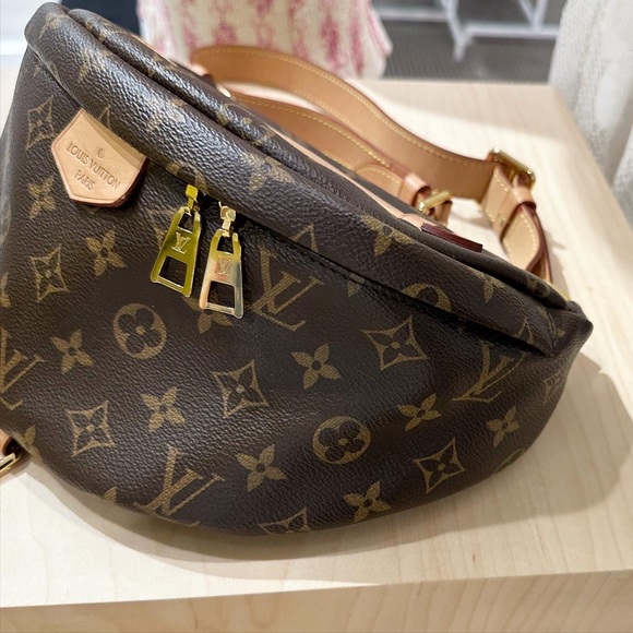 Louis Vuitton Monogram Bumbag - Picture 3 of 16